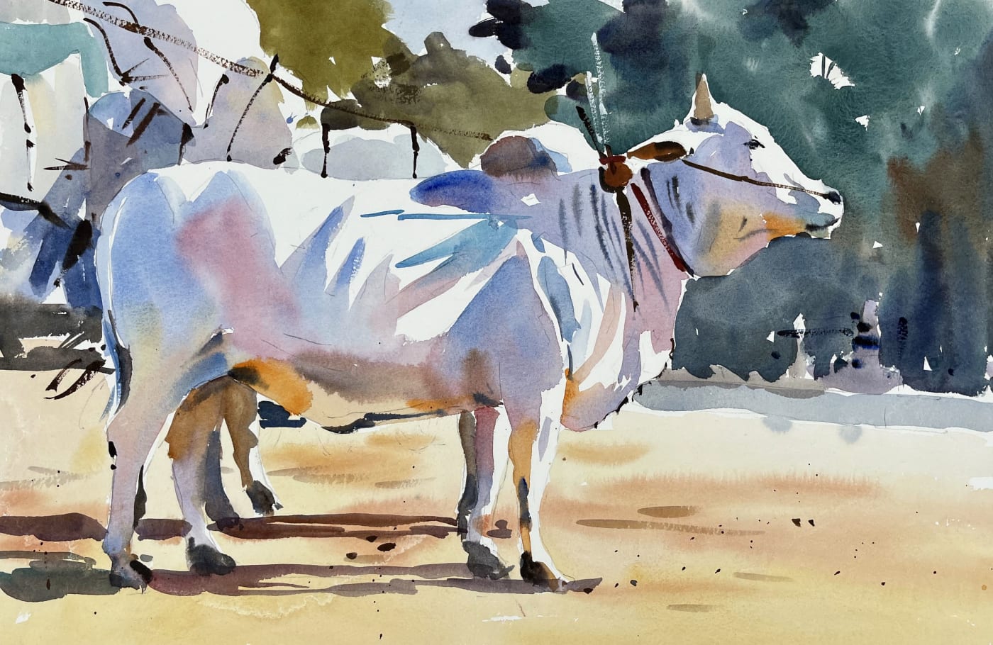 Jake Winkle, OXEN