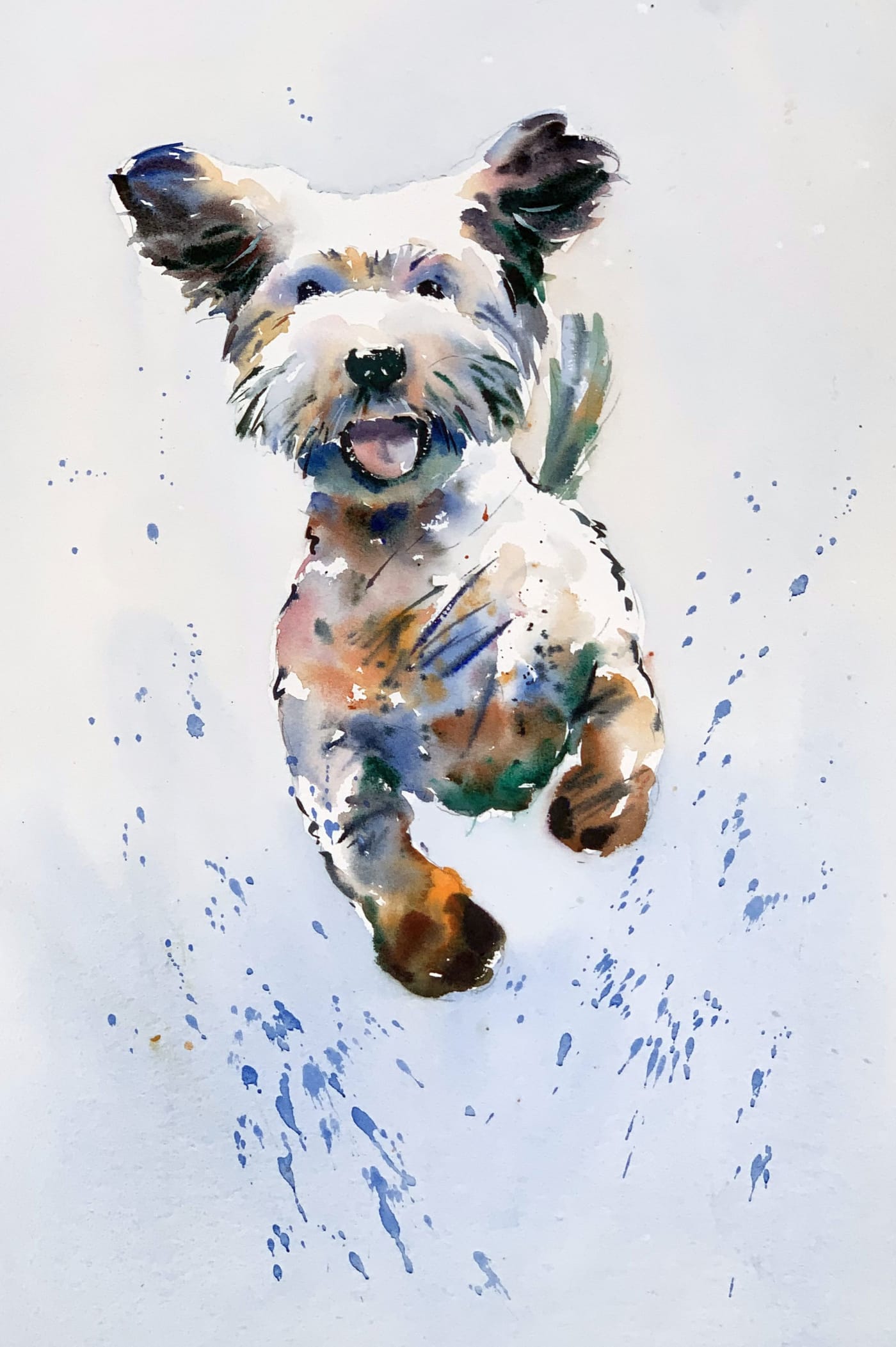 Jake Winkle, HAPPY COCKERPOO