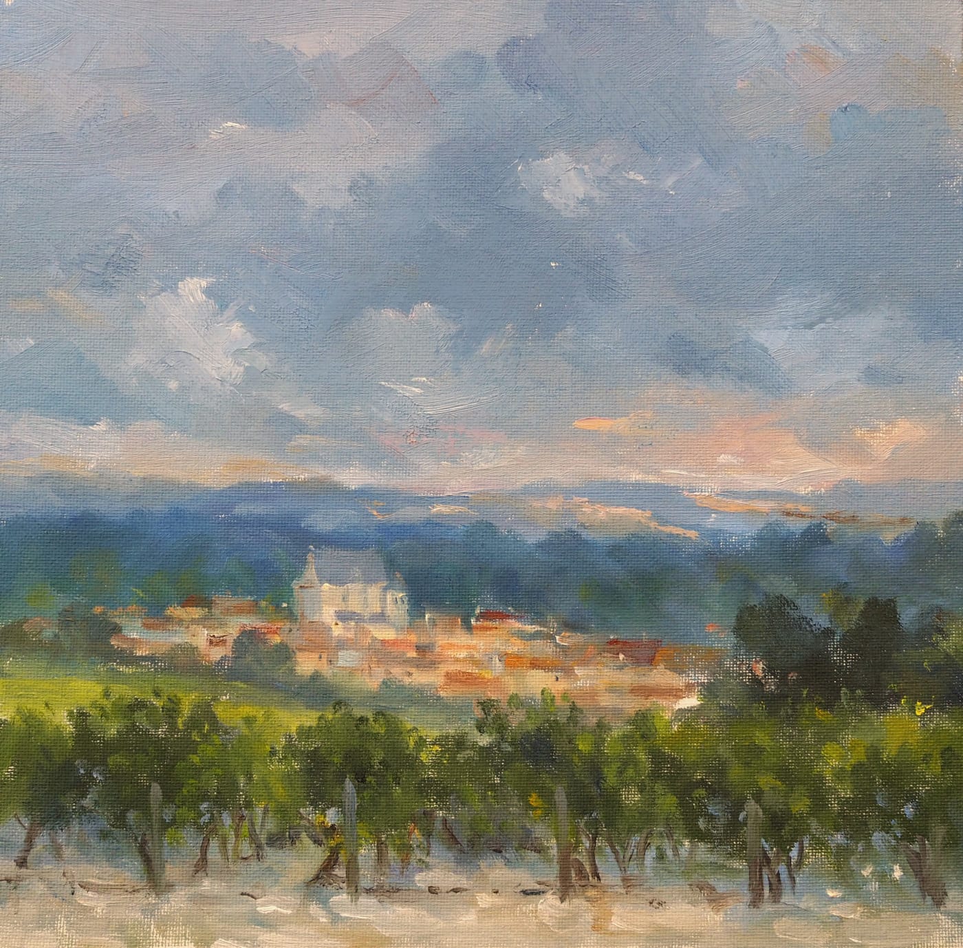 David Howell, VINEYARD AT SANCERRE