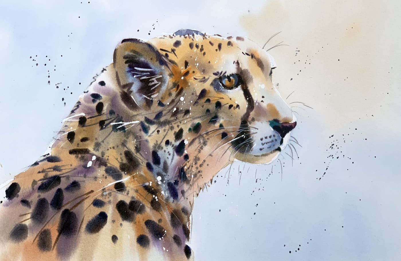 Jake Winkle, RESTING CHEETAH