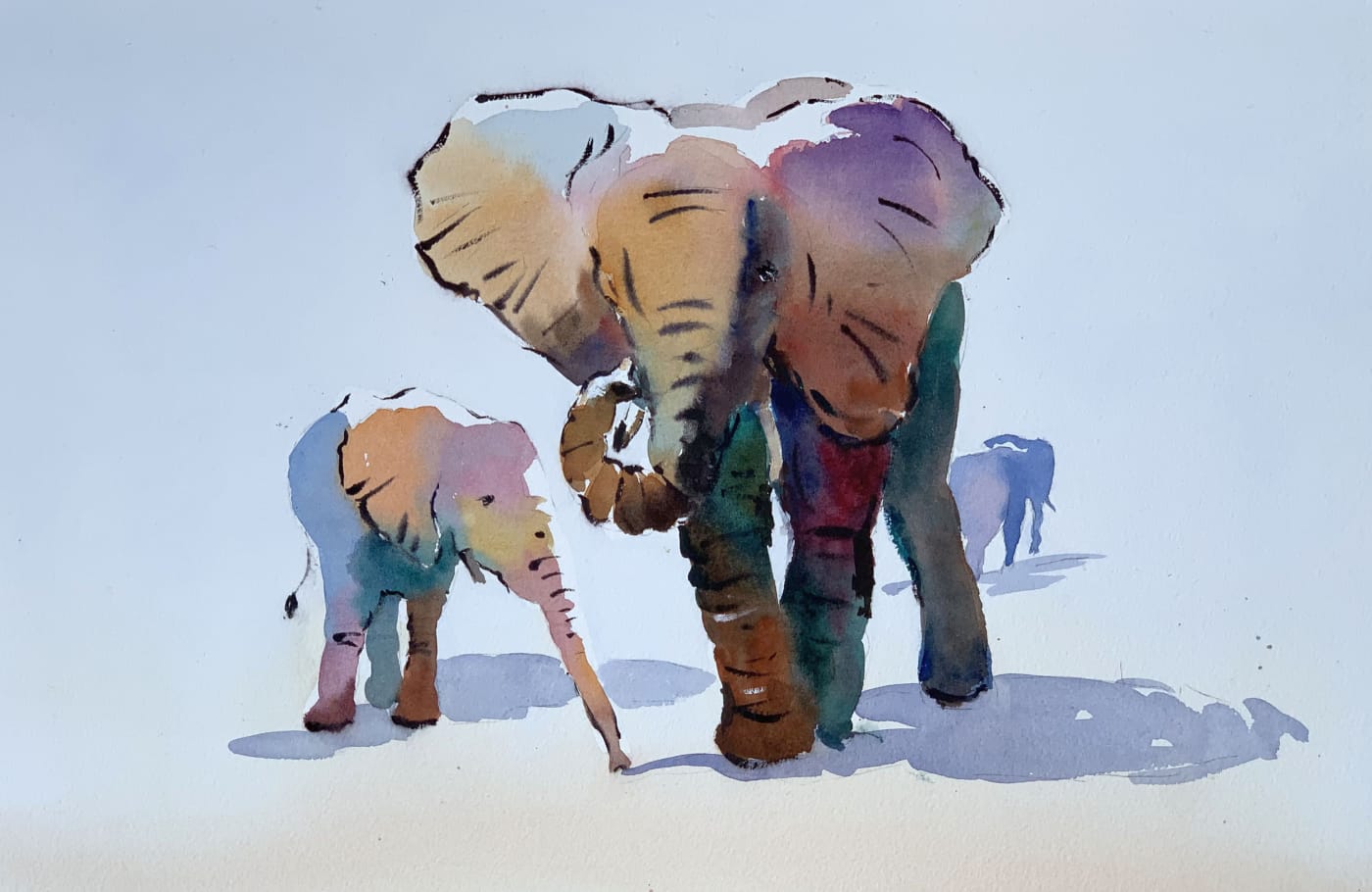 Jake Winkle, YOUNG ELEPHANTS
