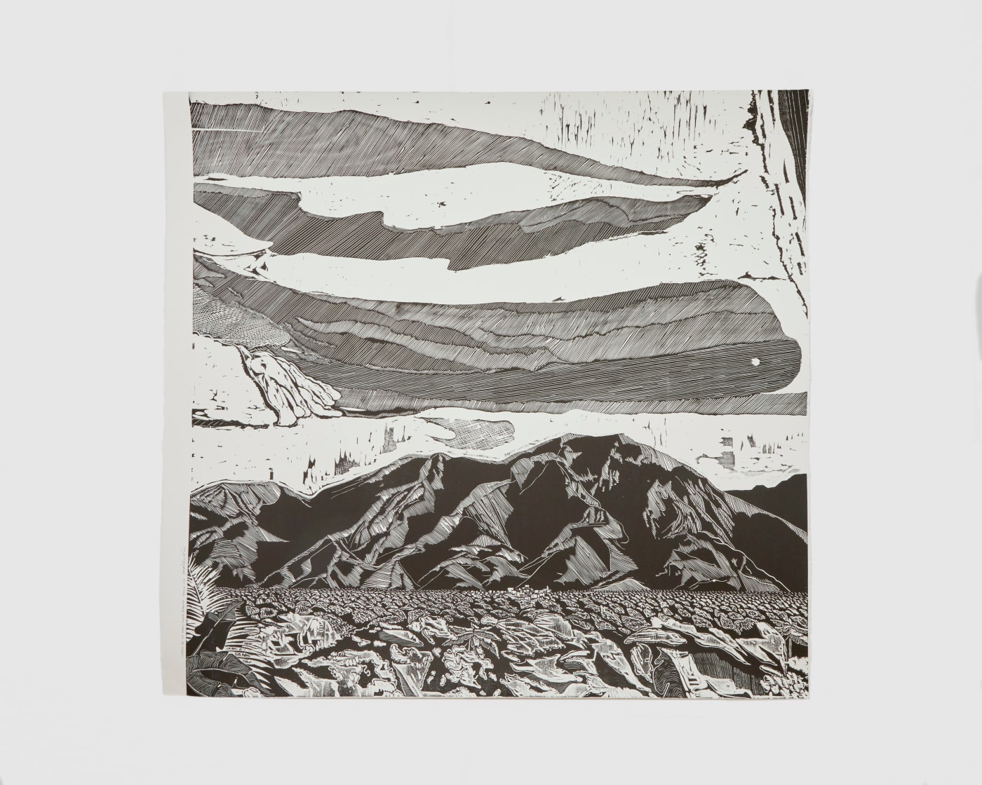 Enrique Figueredo, Viajes de la gran flota blanca, frame 12b, 2019