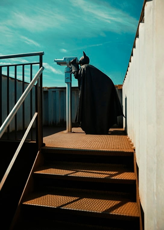 Sebastian Magnani, Sightseeing, 2022