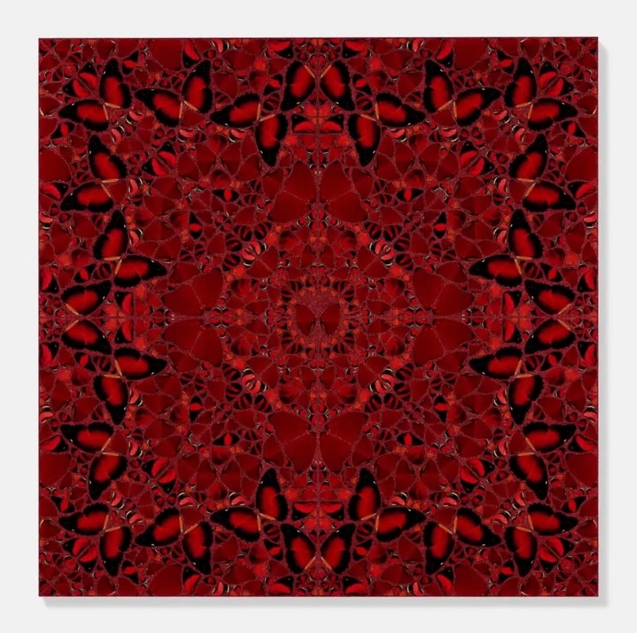 Damien Hirst, H10-2 Nūr Jahān , 2022