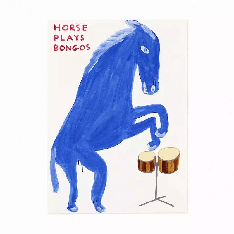 David Shrigley, Horse Plays Bongos