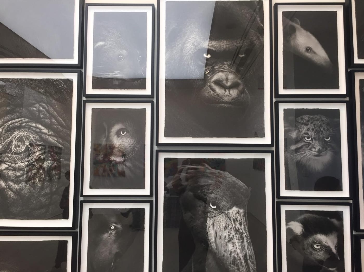 Start Art Fair 2019