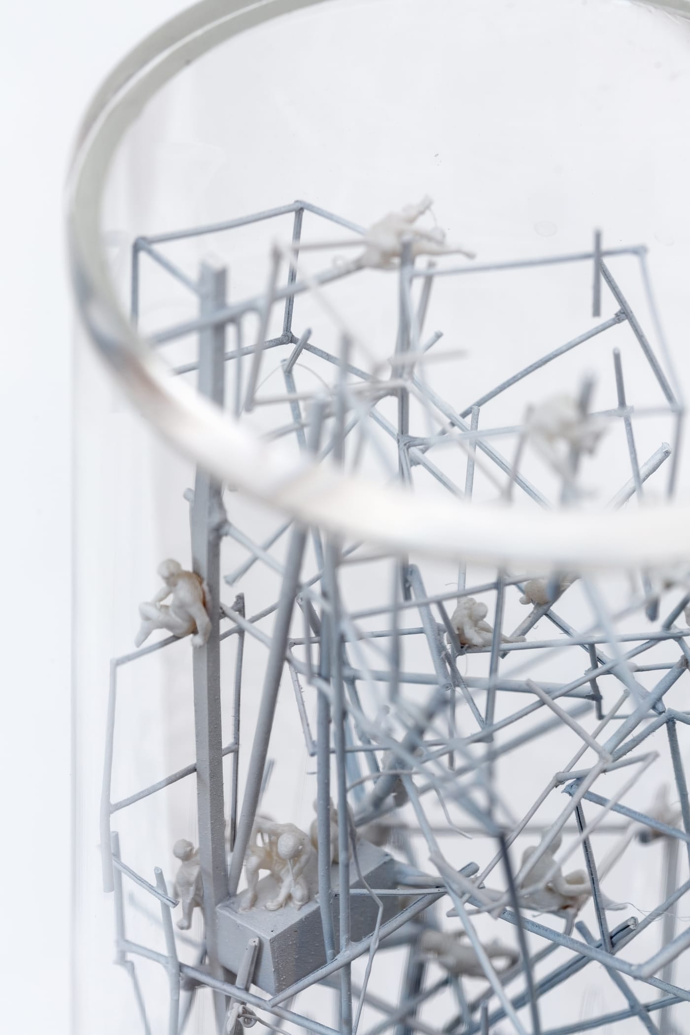 INNER LANDSCAPE MEMBRANES