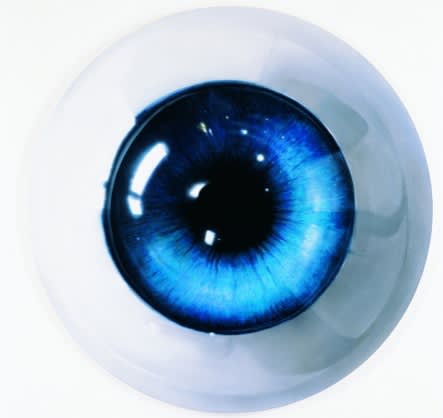 LEE YONGBAEK, PLASTIC EYE - BLUE, 2008