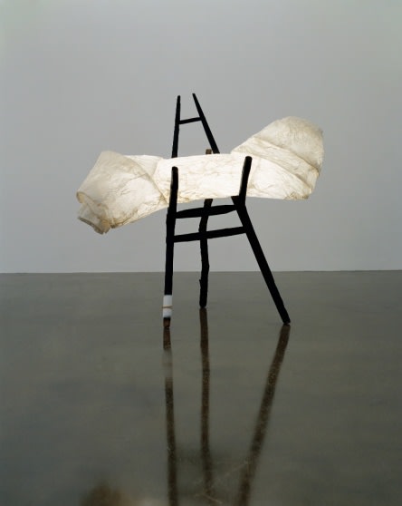 KONG SHINE, DOG CHEW LAMP, 2009