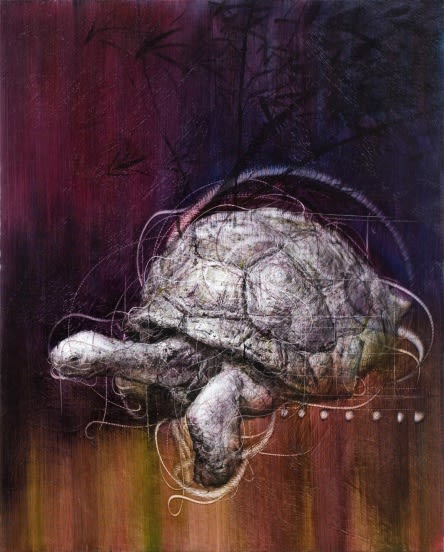 PARK YOUNG GEUN, A TURTLE, 2009