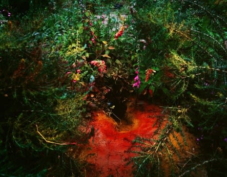PARK HYUNGGEUN, UNTITLED-1, RED HOLD, 2004