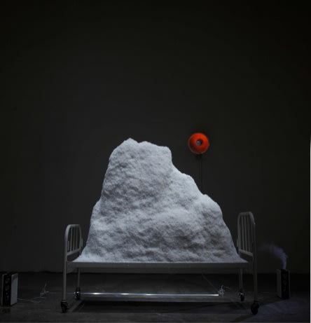 TALLUR L.N., GENETICALLY MODIFIED LANDSCAPE (GM LANDSCAPE), 2010