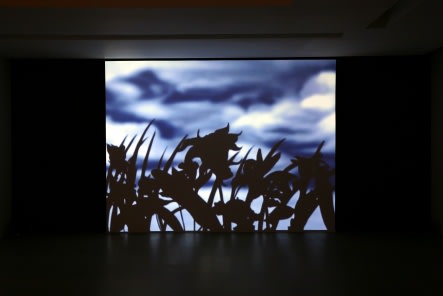 SUN XUN, 21 GRAMS