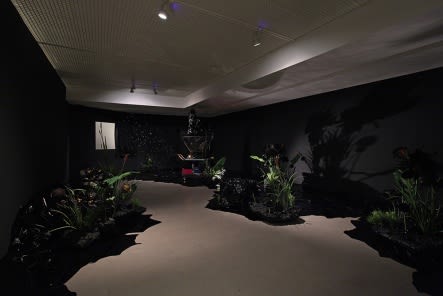 JUNG SONG, BLACK BANANA, 2011