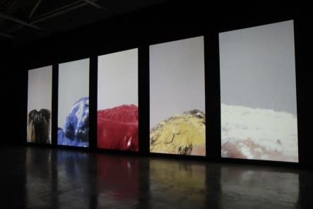 WANG GONGXIN - BASIC COLOR, 2010