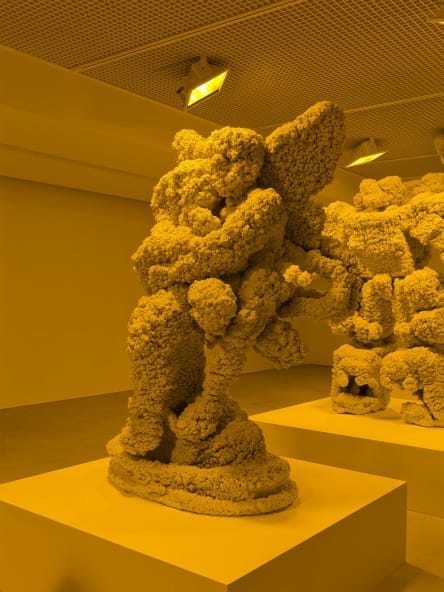 KOHEI NAWA, VILLUS - PSYCHE AND CUPID, 2009