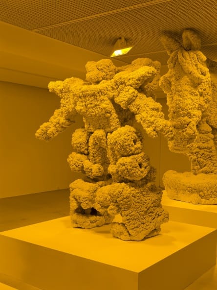 KOHEI NAWA, VILLUS - TRANSFORMER, 2010
