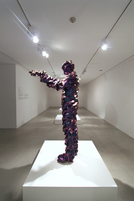 KOHEI NAWA, TRANS-T.O.P, 2013