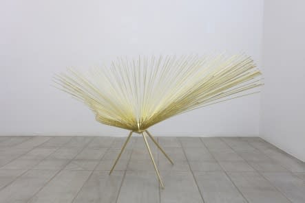 KIM BYOUNGHO, SUBSEQUENT EVENTS, 2012