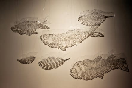 CHOI WONJUNG, FISH+FEATHER, 2003