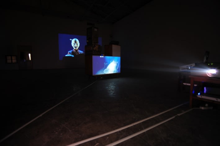 WANG Jianwei & Nalini MALANI: Himalayas Project