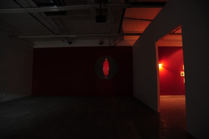 WANG Jianwei & Nalini MALANI: Himalayas Project