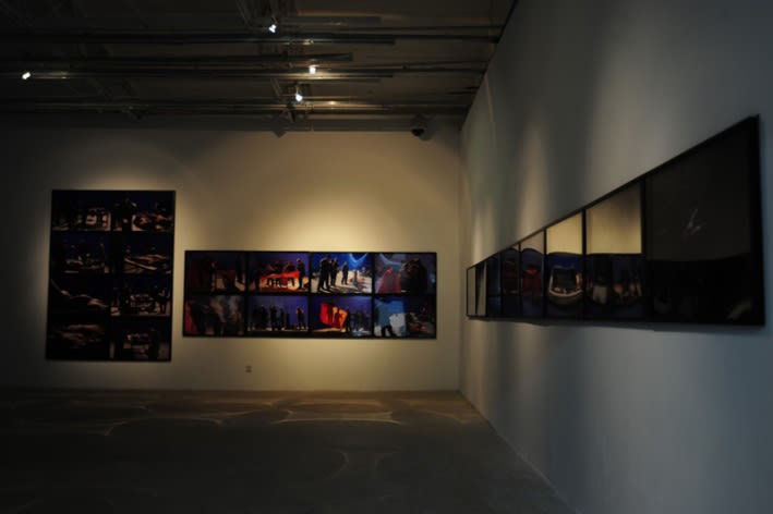 WANG Jianwei & Nalini MALANI: Himalayas Project