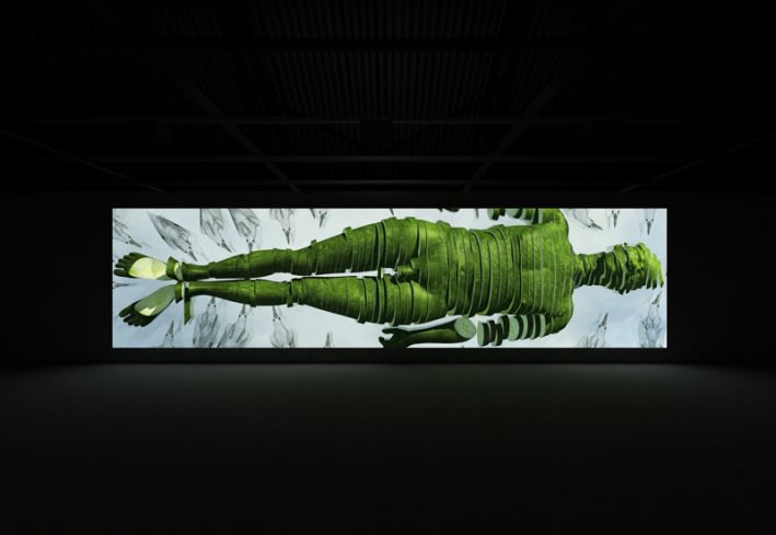 MIAO Xiaochun: Microcosm