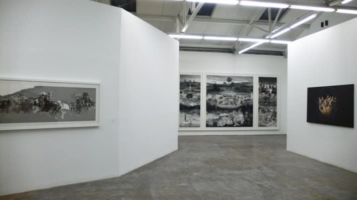 MIAO Xiaochun: Microcosm
