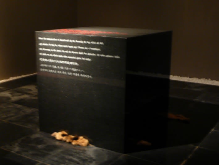 Xiaoyu: Drama of Materialistic Objects - One World, Cold or Warm