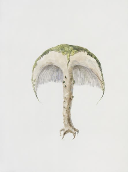 Ruby Unkyung HUR: Botanimal Garden