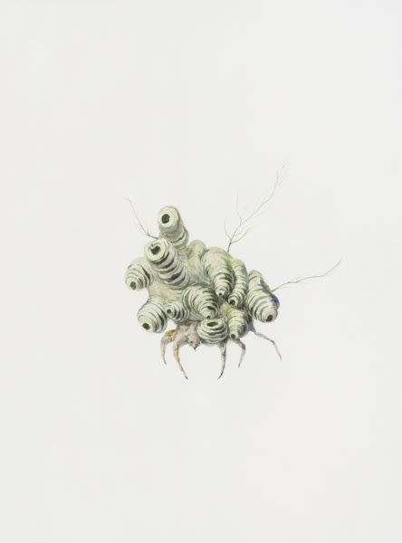 Ruby Unkyung HUR: Botanimal Garden