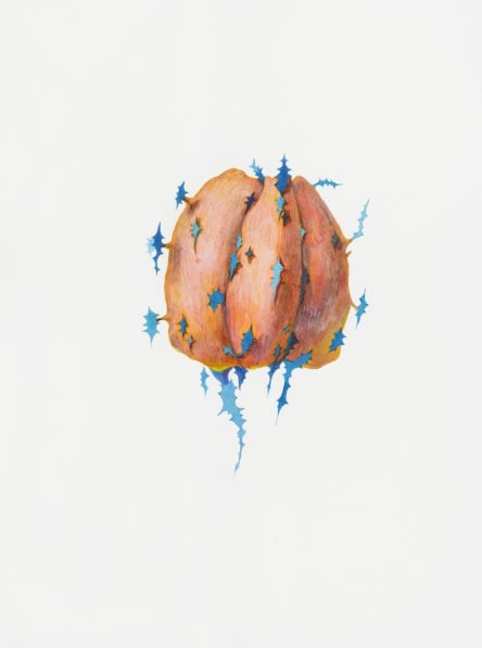 허은경: Botanimal Garden