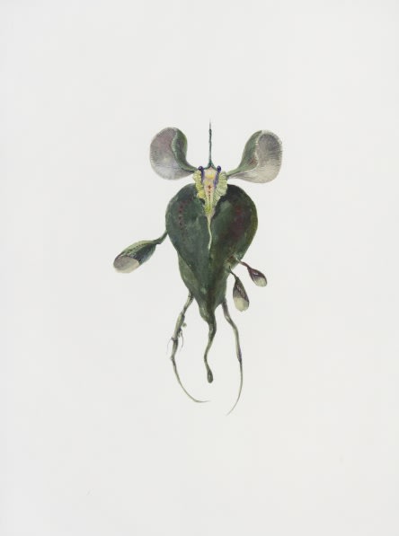 Ruby Unkyung HUR: Botanimal Garden
