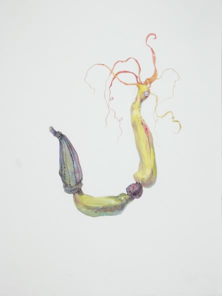 Ruby Unkyung HUR: Botanimal Garden