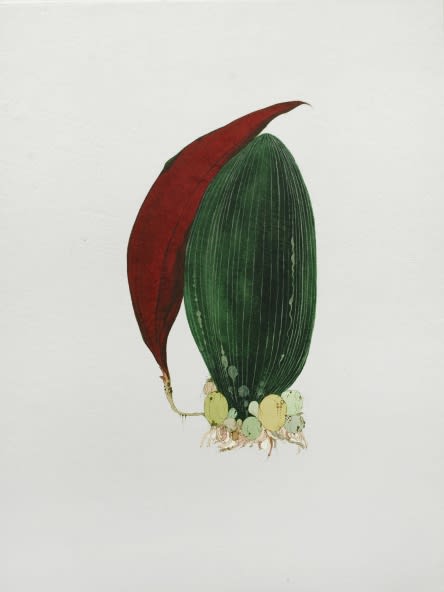 Ruby Unkyung HUR: Botanimal Garden