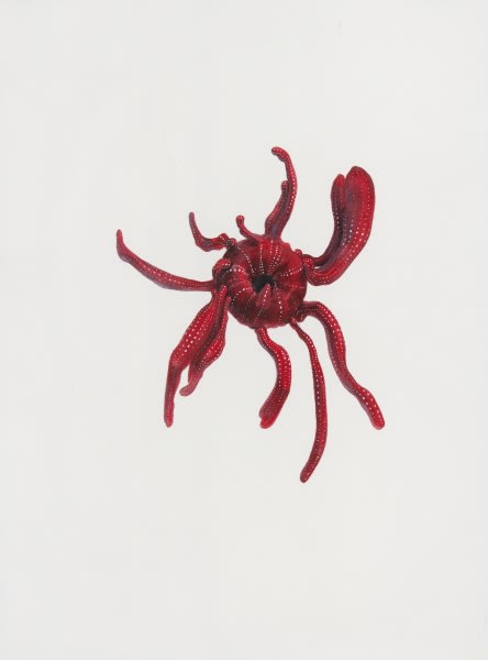 Ruby Unkyung HUR: Botanimal Garden