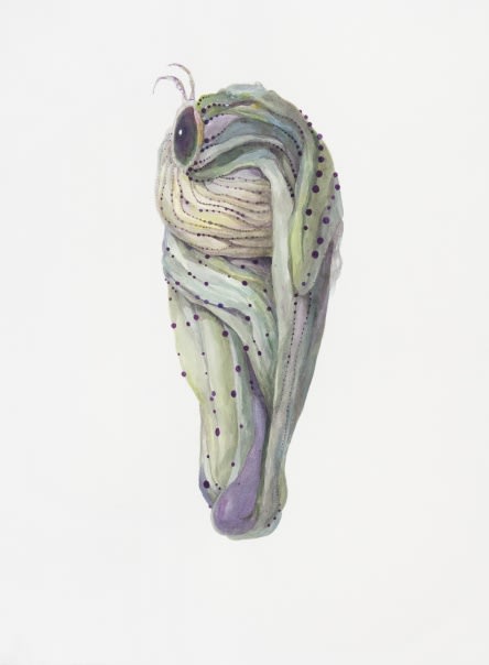 Ruby Unkyung HUR: Botanimal Garden