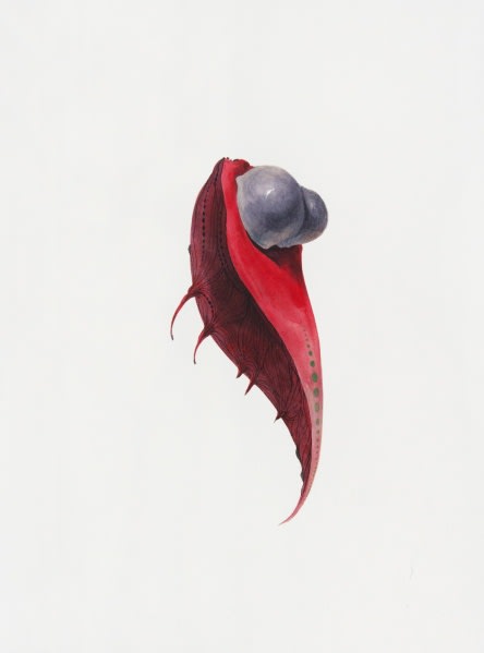 허은경: Botanimal Garden