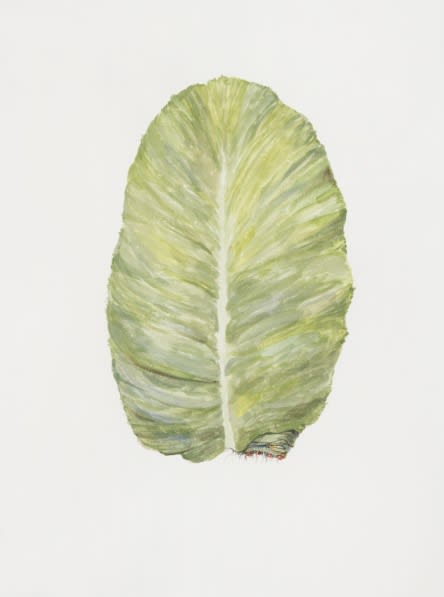 허은경: Botanimal Garden