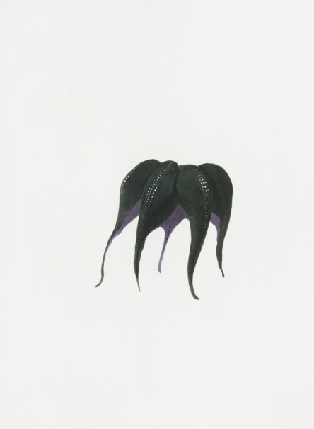 Ruby Unkyung HUR: Botanimal Garden