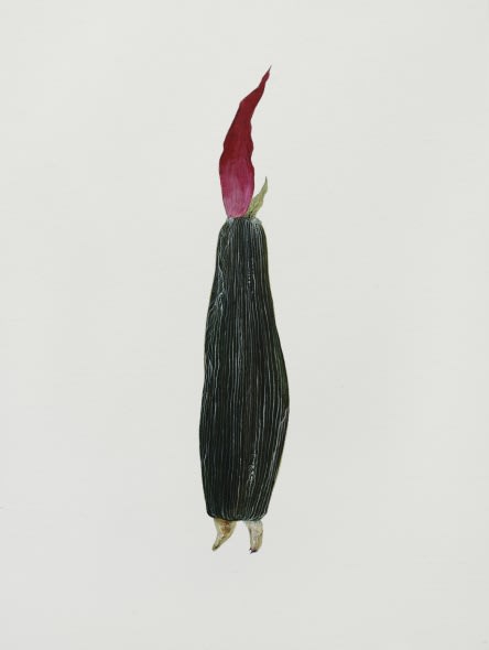 Ruby Unkyung HUR: Botanimal Garden