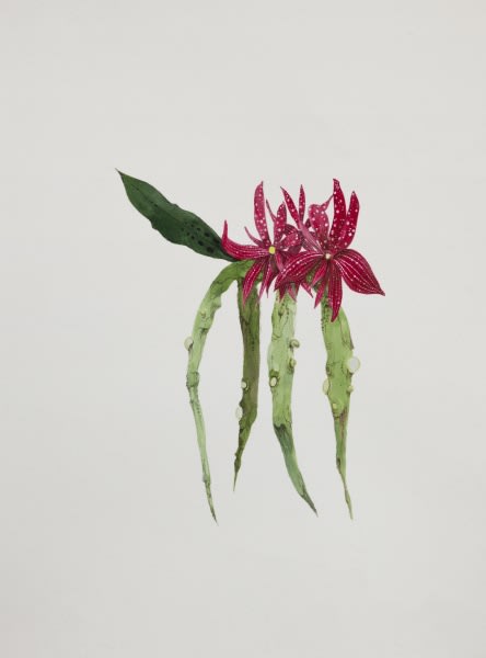 Ruby Unkyung HUR: Botanimal Garden
