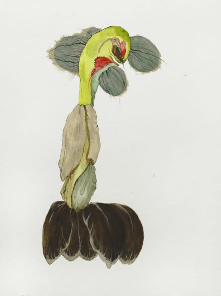 허은경: Botanimal Garden
