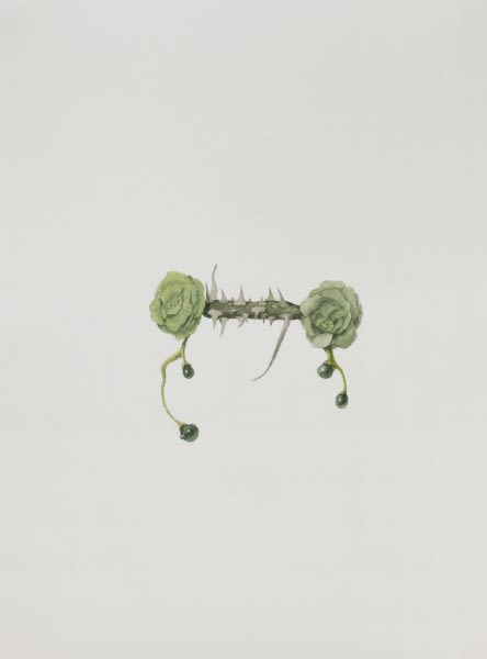 Ruby Unkyung HUR: Botanimal Garden