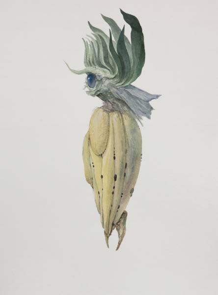 Ruby Unkyung HUR: Botanimal Garden