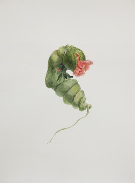 Ruby Unkyung HUR: Botanimal Garden