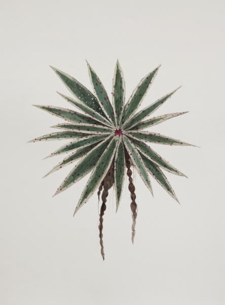 허은경: Botanimal Garden