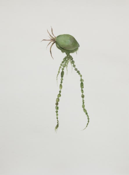 Ruby Unkyung HUR: Botanimal Garden