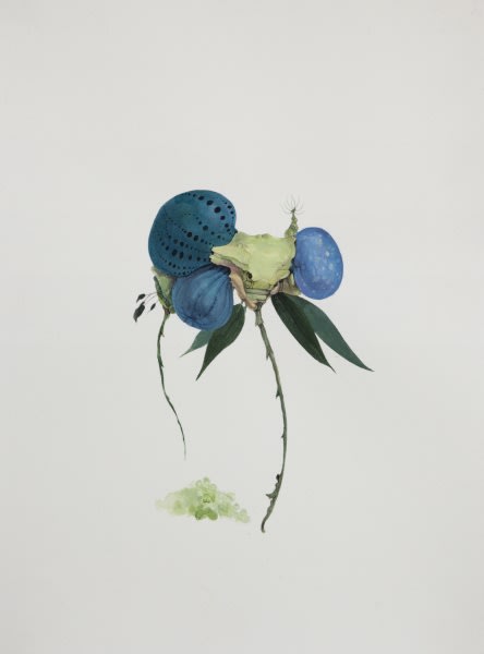 허은경: Botanimal Garden